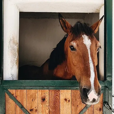Otel Parque Serra Da Lousa 4*
