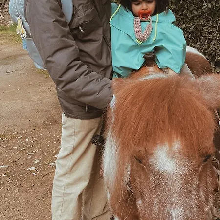 Parque Serra Da Lousa Otel 4*