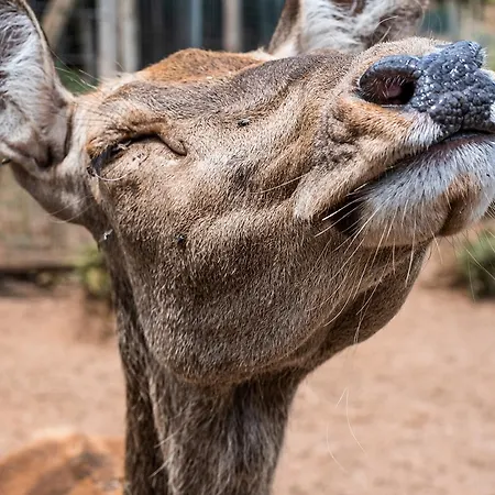 Parque Serra Da Lousã