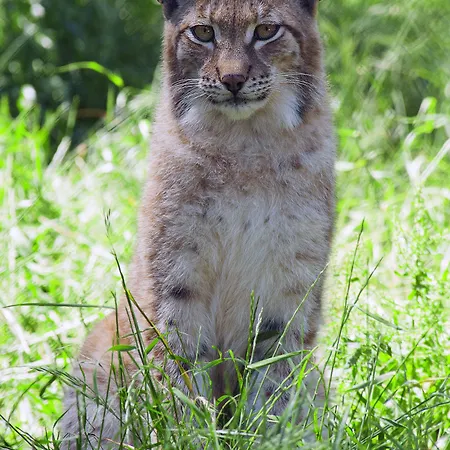 Parque Serra Da Lousa 4*
