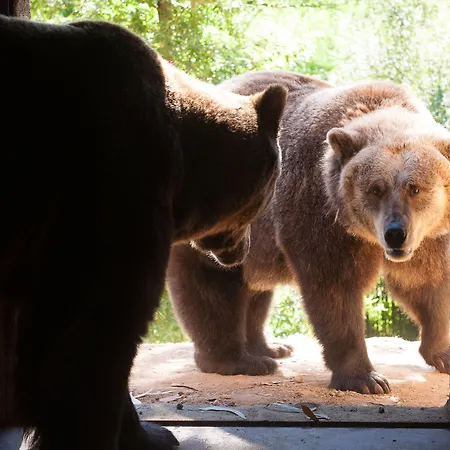 Otel Parque Serra Da Lousa