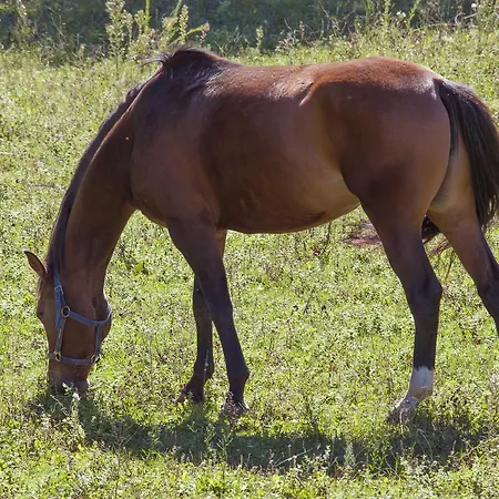 Parque Serra Da Lousa 4* Miranda do Corvo