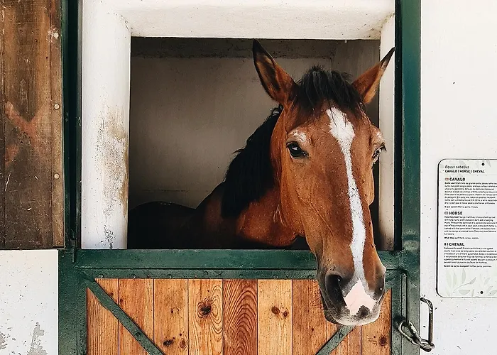 Hotel Parque Serra Da Lousa 4*