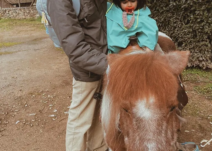 Parque Serra Da Lousa מלון 4*