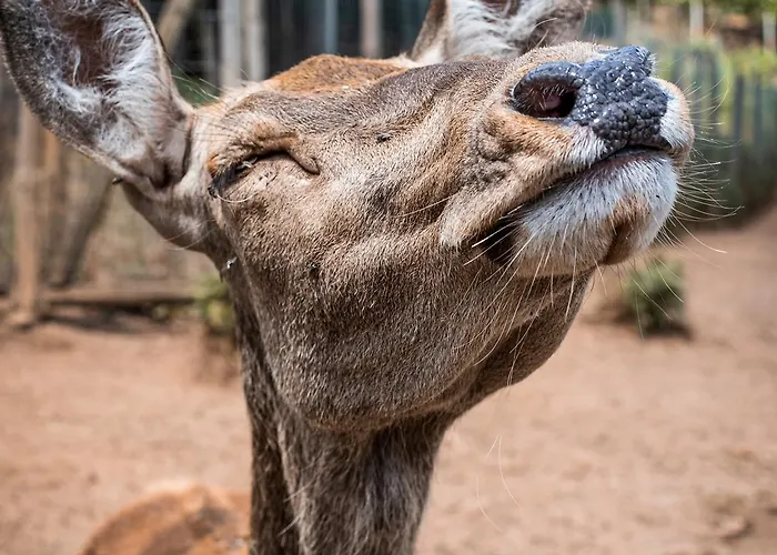 Parque Serra Da Lousa