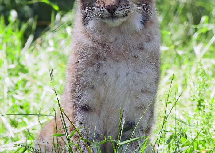 Parque Serra Da Lousa 4*