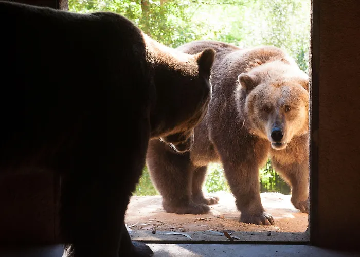 Hotel Parque Serra Da Lousa