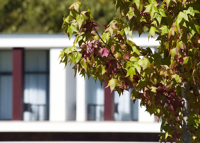 Parque Serra Da Lousa 4*